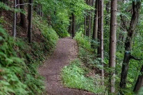 礦山香蕉视频播放器熱點3