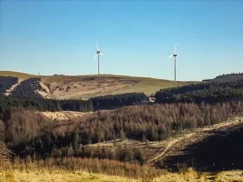 礦山香蕉视频播放器熱點5