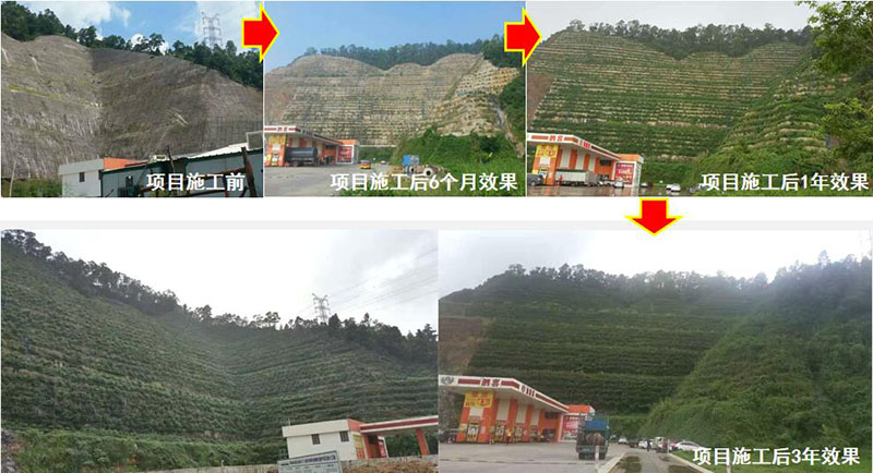 珠海市鬥門區山體邊坡生態香蕉视频播放器