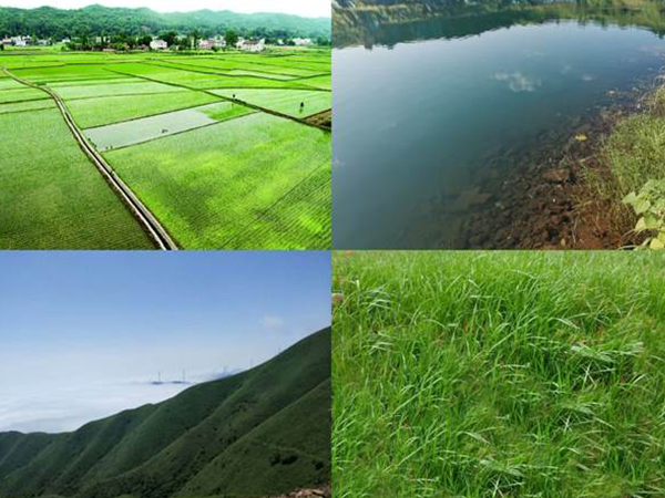 山水林田湖草生態香蕉视频播放器