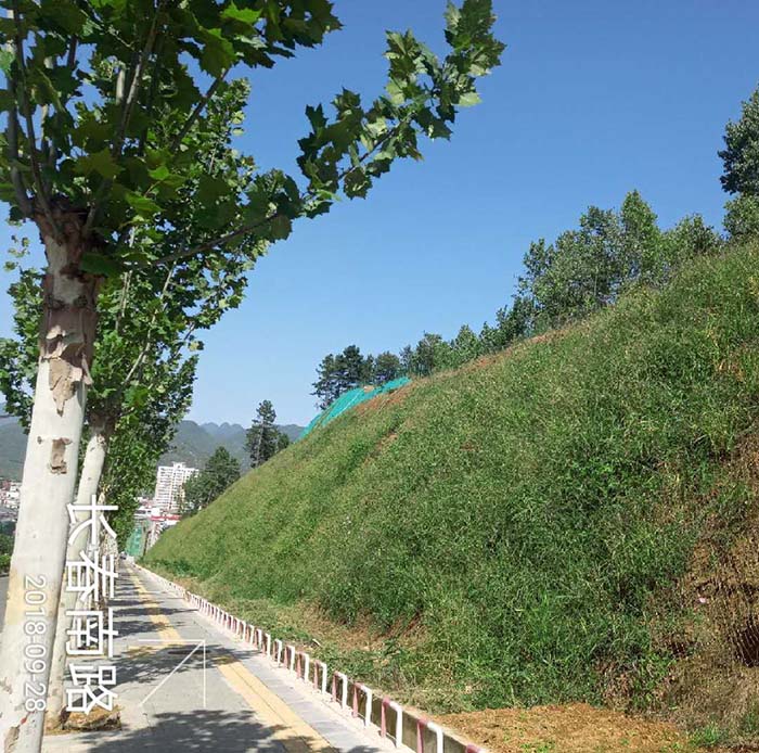 河南省洛陽市欒川縣老君山景區山體香蕉视频播放器