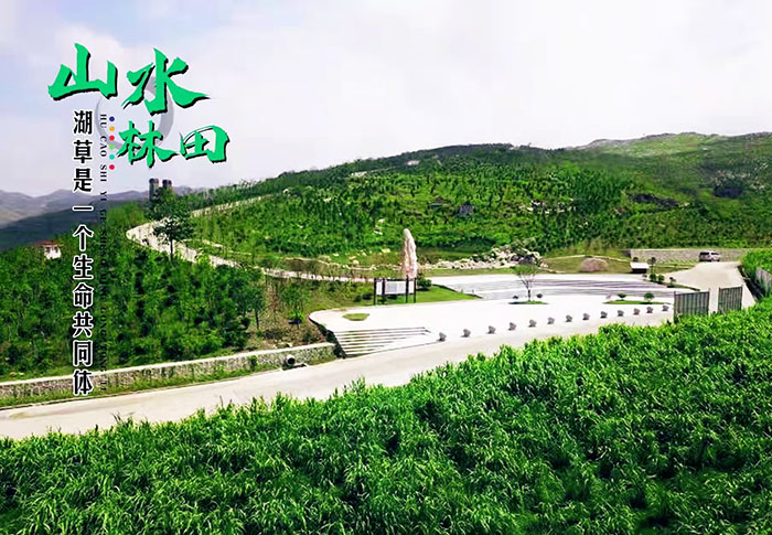 湖南省婁底市冷水江銻煤礦區山水林田湖草生態保護香蕉视频播放器項目