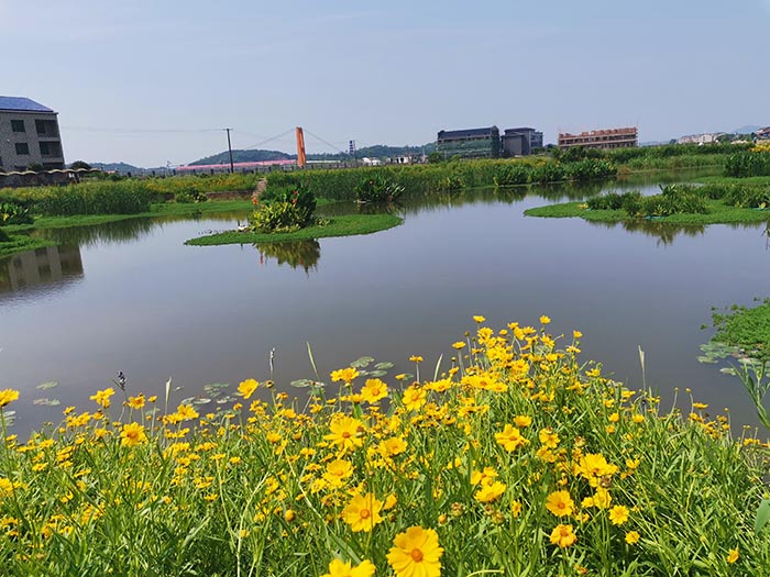 衡陽縣蒸水流域山水林田湖草生態保護香蕉视频播放器工程試點項目