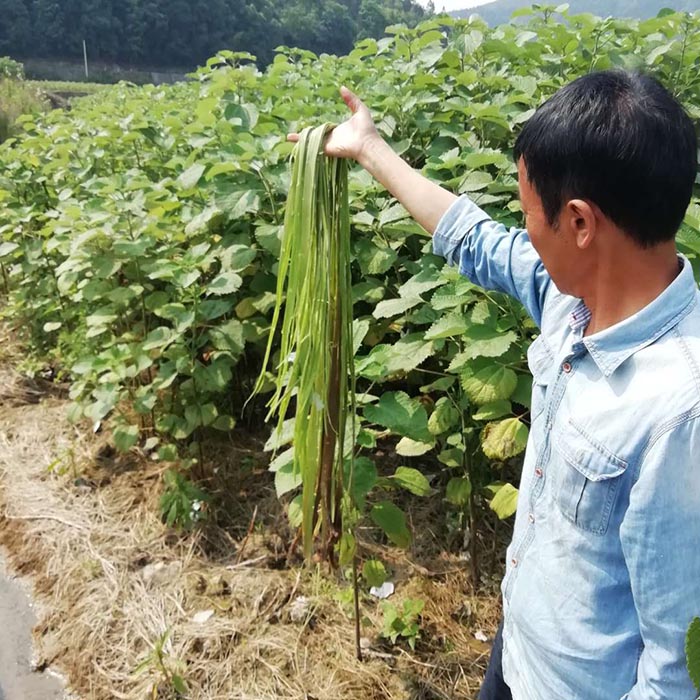 貴州省銅仁市生態香蕉视频播放器與精準扶貧示範區