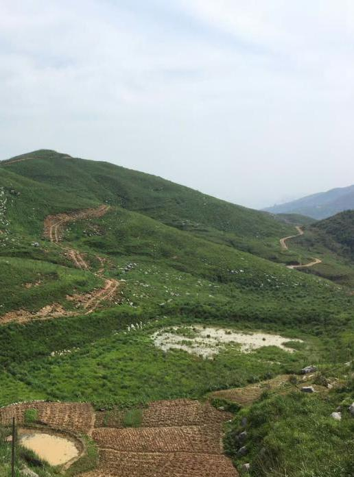 湖南省冷水江市錫礦山地區生態香蕉视频播放器項目