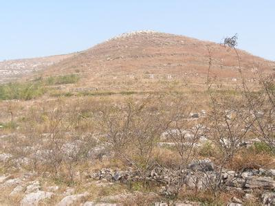 益陽市泥江口石子塘礦山生態香蕉视频播放器——國家油茶林示範基地