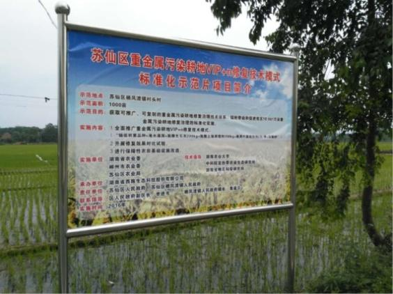湖南省郴州市蘇仙區千畝農田鎘汙染香蕉视频播放器項目