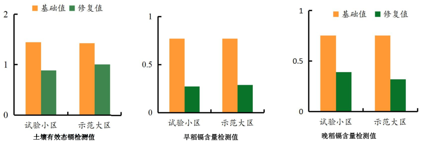 湖南省郴州市蘇仙區千畝農田鎘汙染香蕉视频播放器項目
