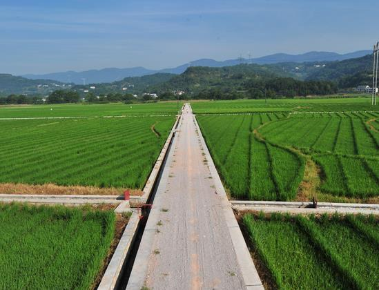 湖南省郴州市桂陽縣千畝農田鎘汙染香蕉视频播放器項目