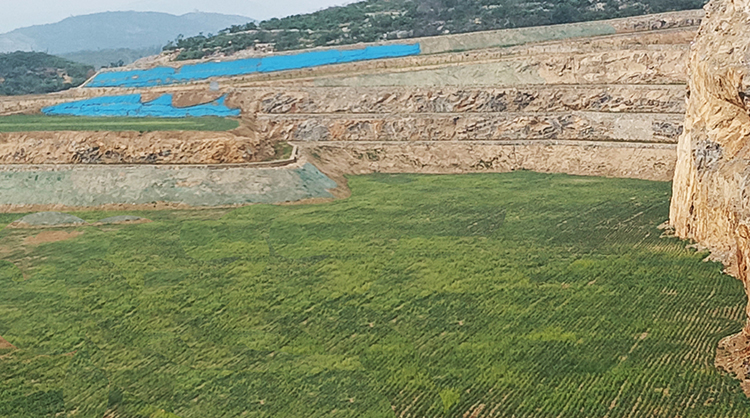 鶴壁市淇濱區南太行地區山水林田湖草生態保護香蕉视频播放器工程
