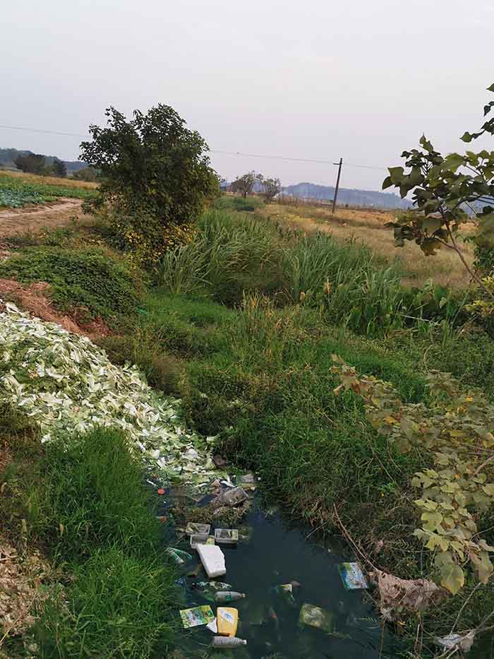 衡陽縣蒸水流域山水林田湖草生態保護香蕉视频播放器工程試點項目