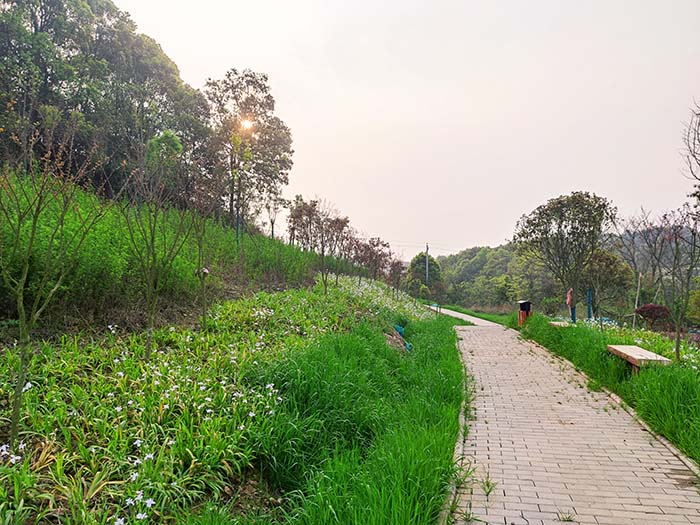 衡陽市常寧水口山鉛鋅煤礦區山水林田湖草生態保護香蕉视频播放器試點工程